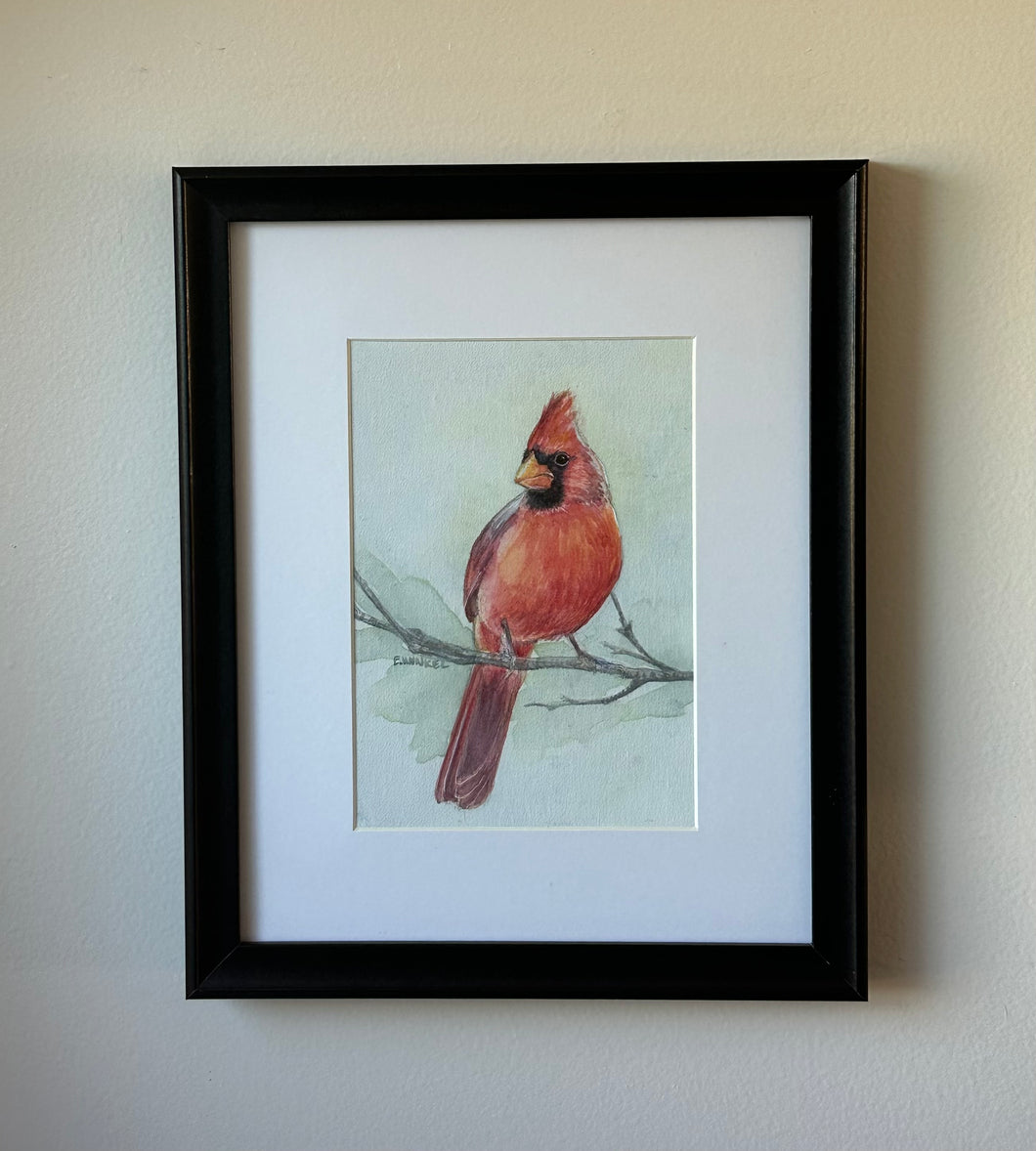 Male Cardinal- Original Artwork, framed